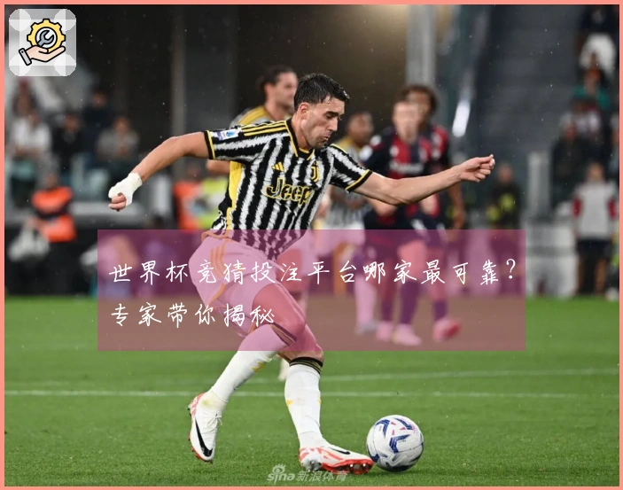 世界杯竞猜投注平台哪家最可靠？专家带你揭秘