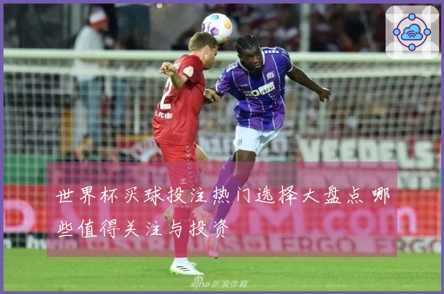 世界杯买球投注热门选择大盘点 哪些值得关注与投资