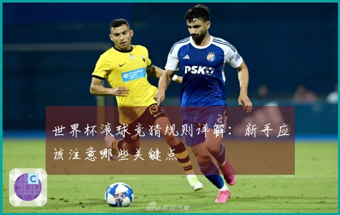 世界杯滚球竞猜规则详解：新手应该注意哪些关键点