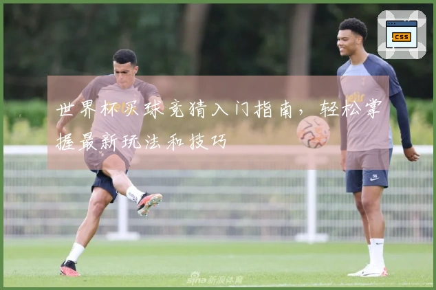 世界杯买球竞猜入门指南，轻松掌握最新玩法和技巧