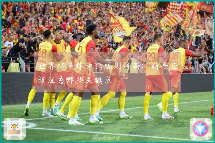 世界杯滚球竞猜规则详解：新手应该注意哪些关键点