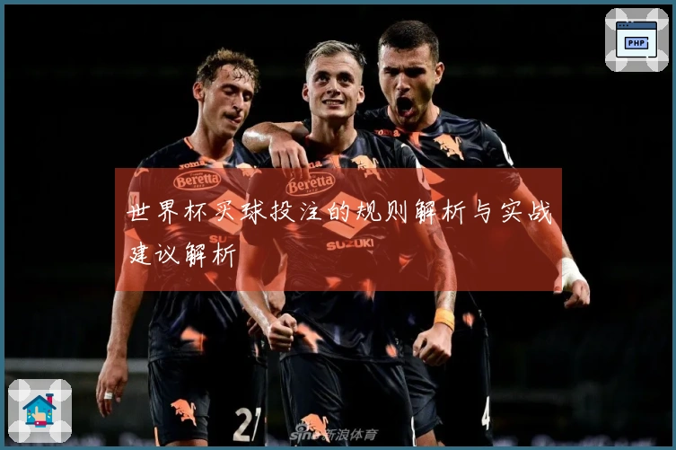 世界杯买球投注的规则解析与实战建议解析