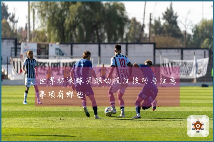 世界杯滚球买球的投注技巧与注意事项有哪些