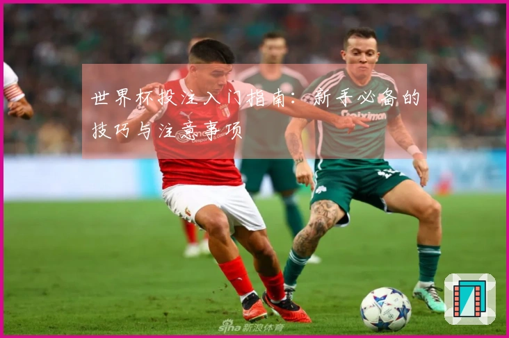 世界杯投注入门指南：新手必备的技巧与注意事项