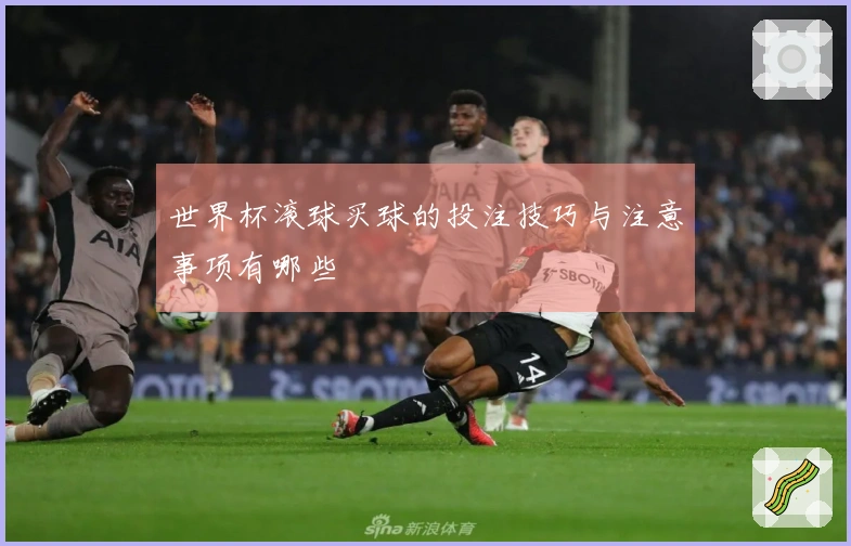 世界杯滚球买球的投注技巧与注意事项有哪些