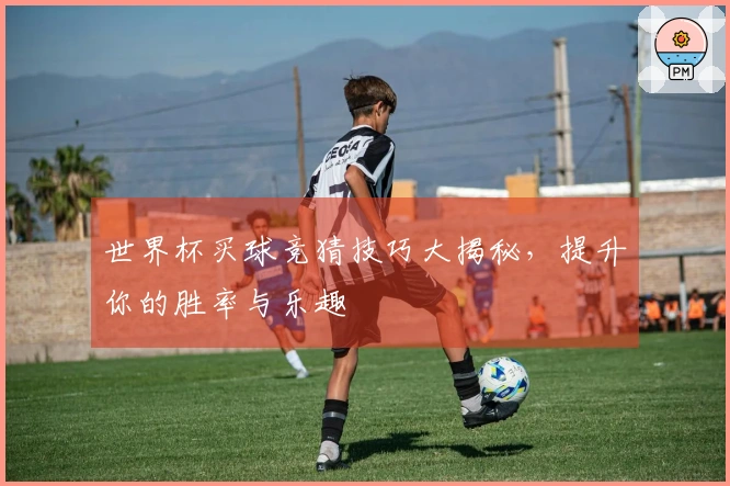 世界杯买球竞猜技巧大揭秘，提升你的胜率与乐趣