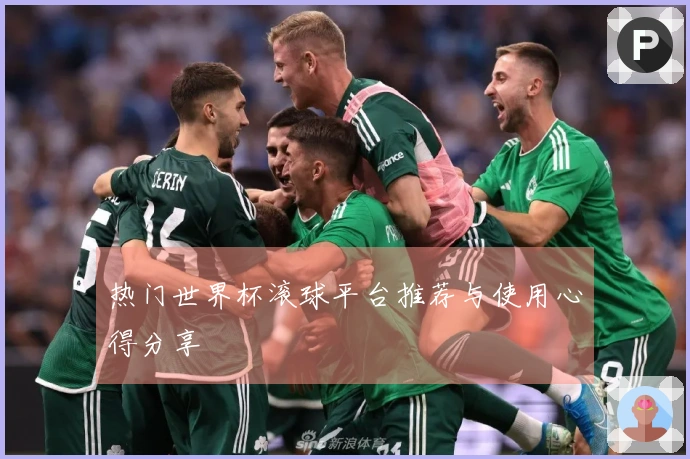 热门世界杯滚球平台推荐与使用心得分享
