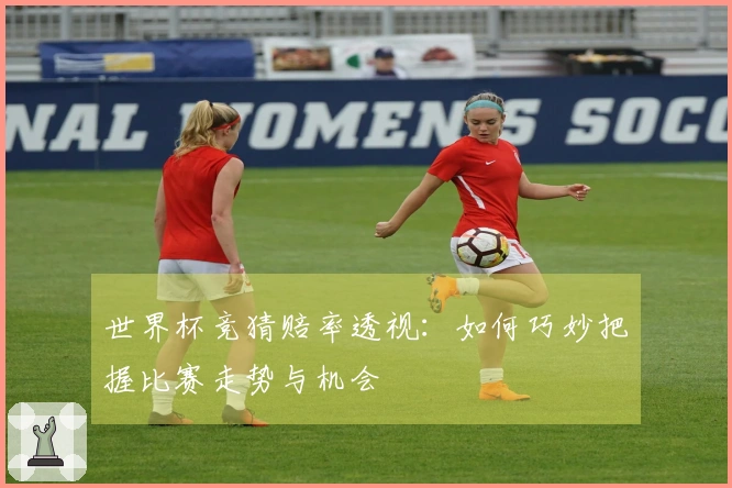 世界杯竞猜赔率透视：如何巧妙把握比赛走势与机会