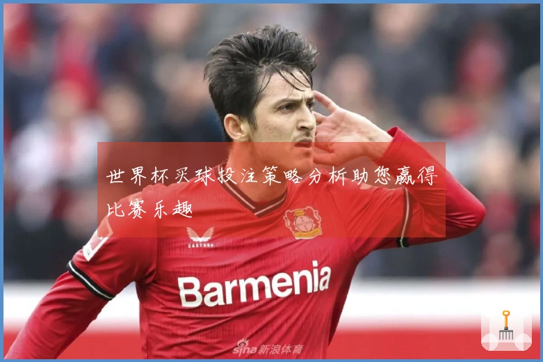 世界杯买球投注策略分析助您赢得比赛乐趣