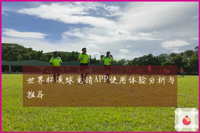 世界杯滚球竞猜APP使用体验分析与推荐