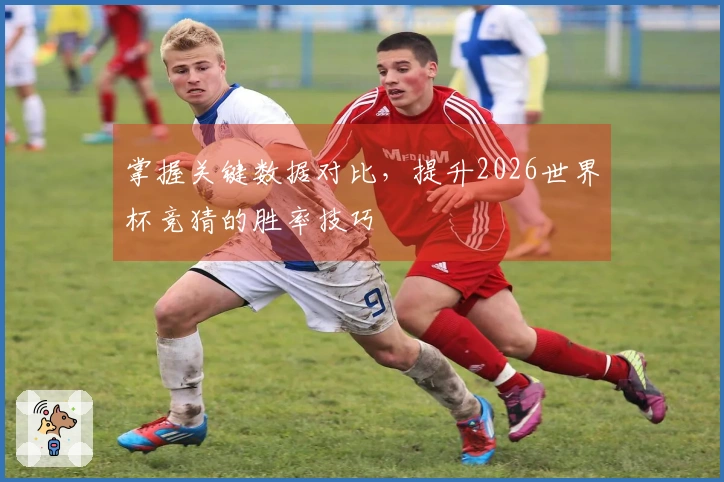 掌握关键数据对比，提升2026世界杯竞猜的胜率技巧