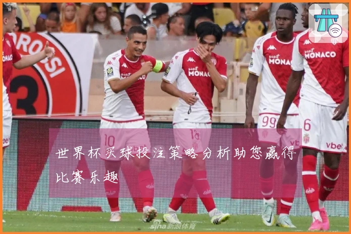 世界杯买球投注策略分析助您赢得比赛乐趣
