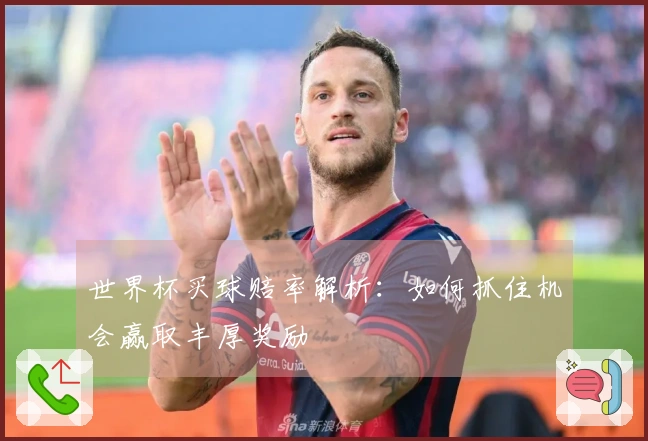 世界杯买球赔率解析：如何抓住机会赢取丰厚奖励