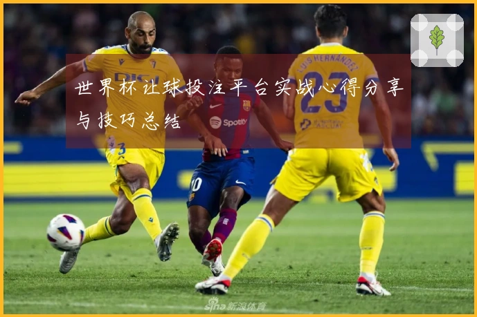 世界杯让球投注平台实战心得分享与技巧总结