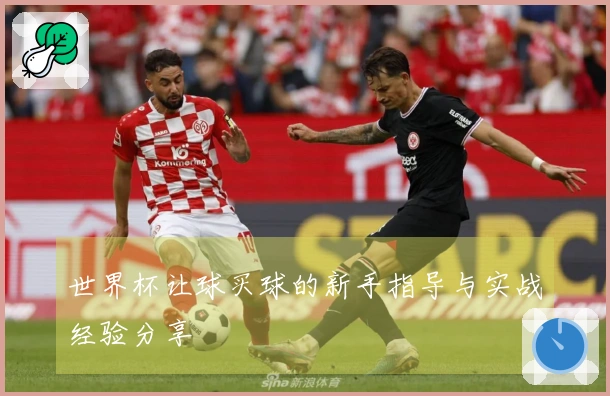 世界杯让球买球的新手指导与实战经验分享