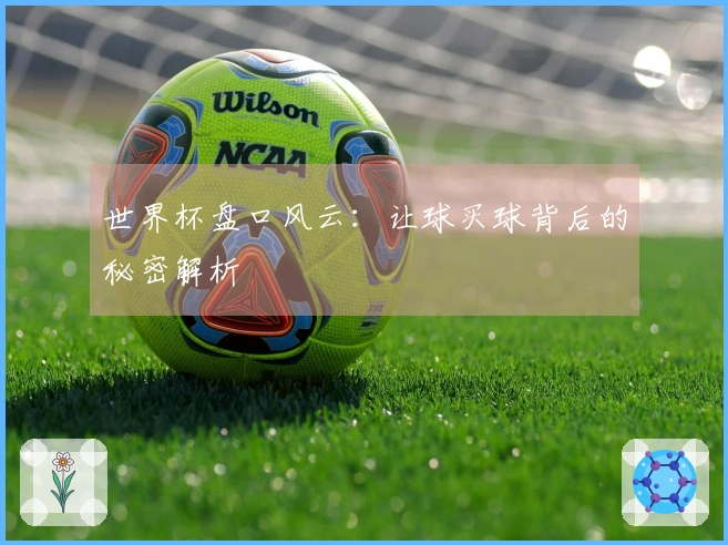世界杯盘口风云：让球买球背后的秘密解析