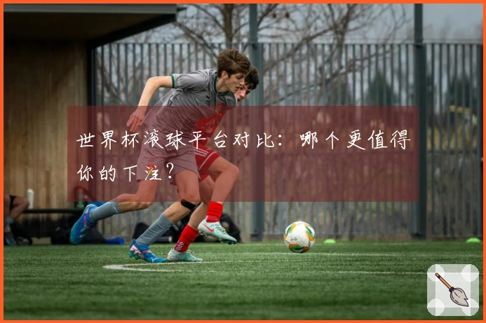 世界杯滚球平台对比：哪个更值得你的下注？