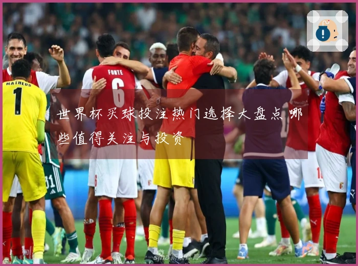 世界杯买球投注热门选择大盘点 哪些值得关注与投资