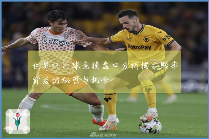 世界杯让球竞猜盘口分析揭示赔率背后的秘密与机会