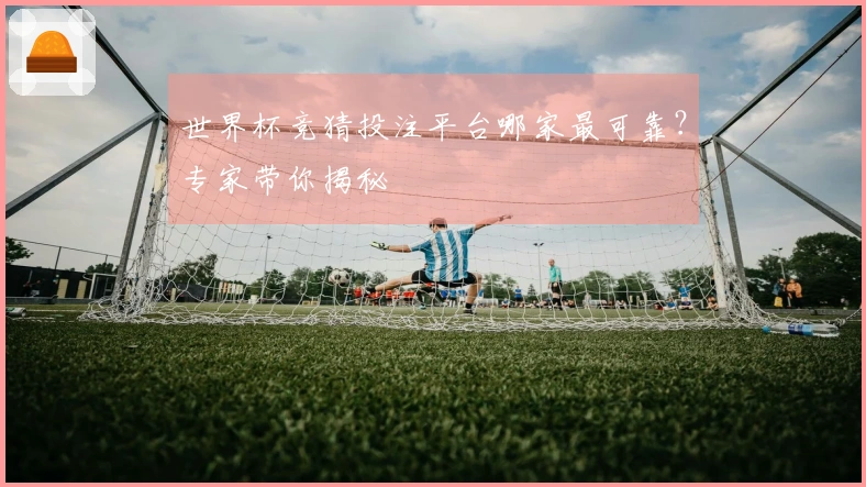 世界杯竞猜投注平台哪家最可靠？专家带你揭秘