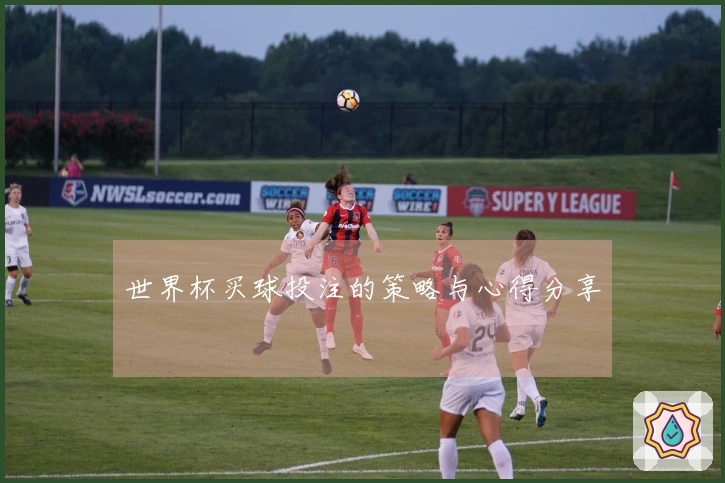 世界杯买球投注的策略与心得分享