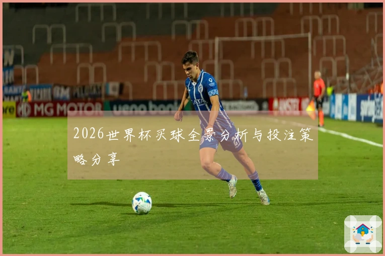 2026世界杯买球全景分析与投注策略分享